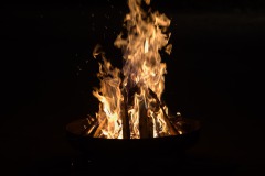 DSC6566