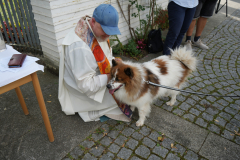 DSC00055-scaled