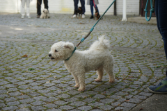 DSC00069-scaled
