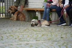 DSC00115-scaled